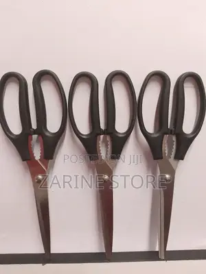 Scissors Scissors 10inch Long