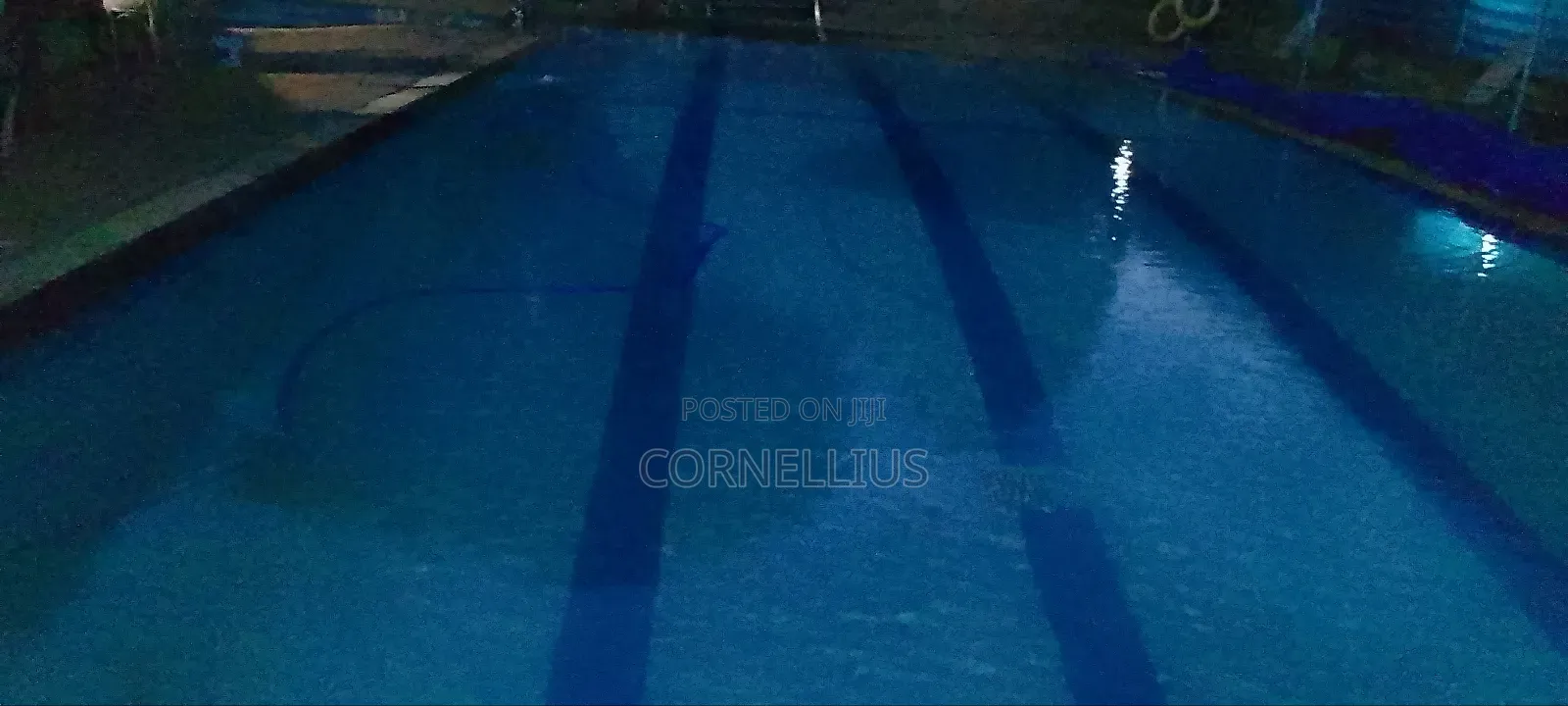 Swimming Pool Services