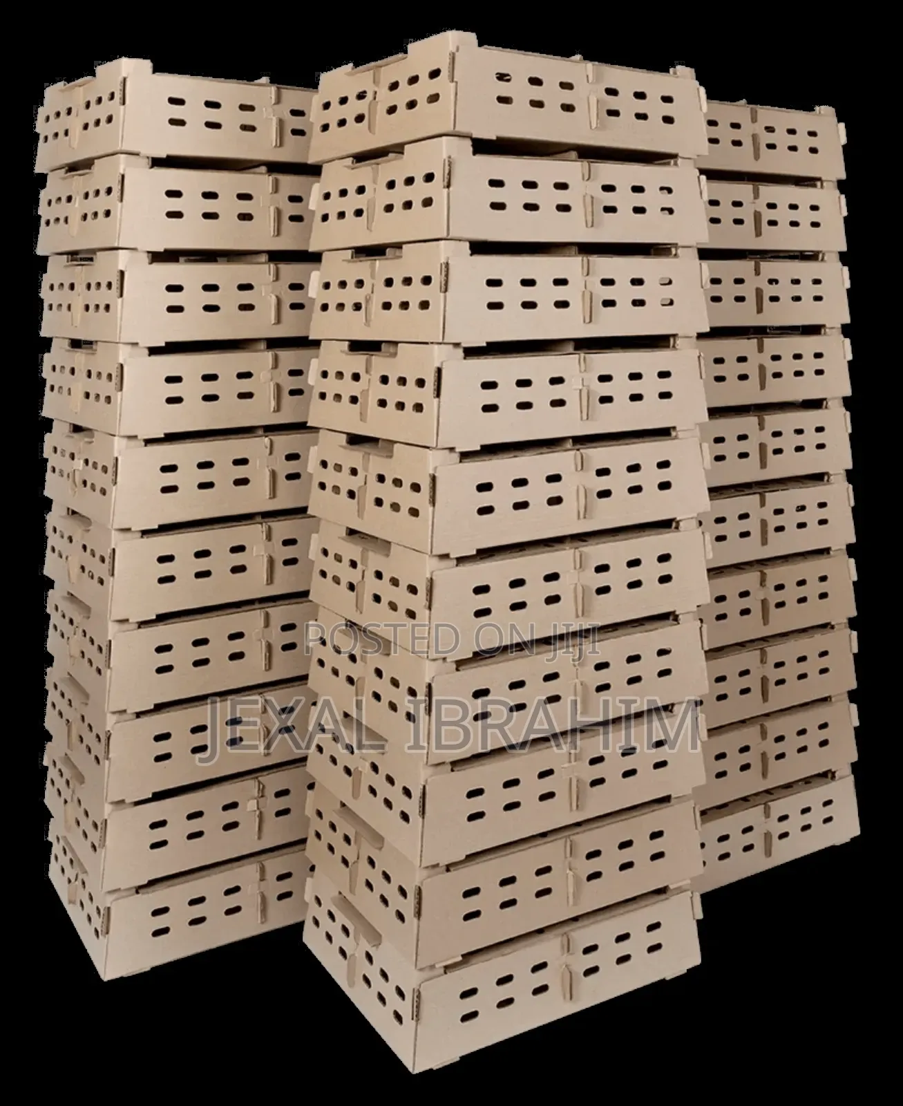 Chicks Boxes