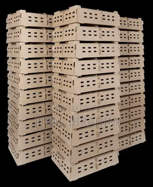 Chicks Boxes