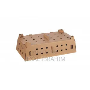 Chicks Boxes