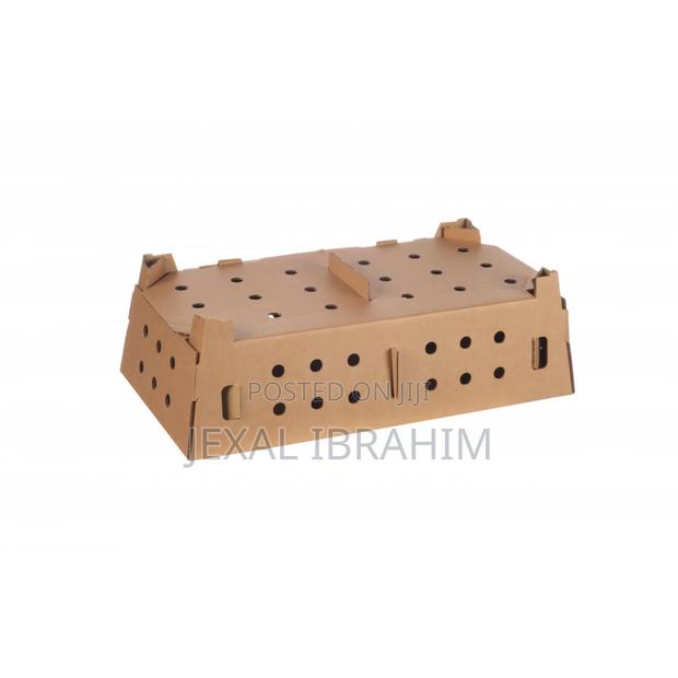 Chicks Boxes - thumbnail 3