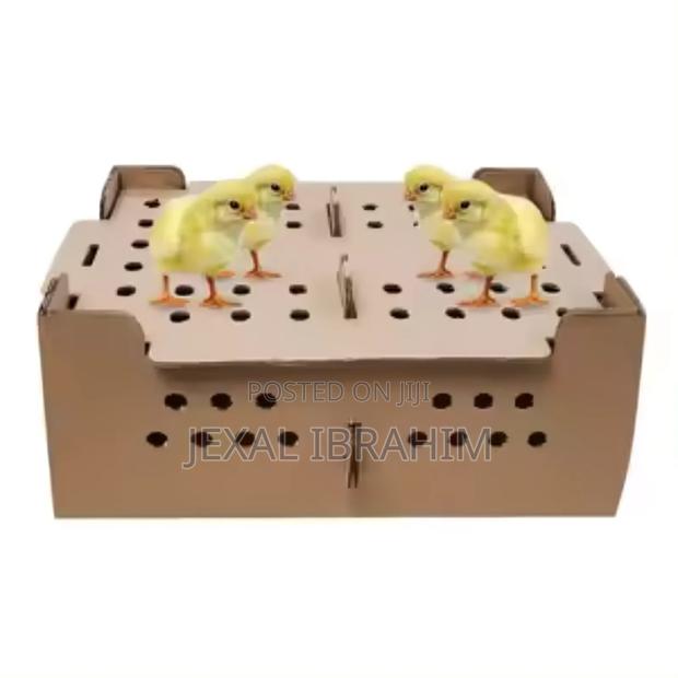 Chicks Box Transportation - main view