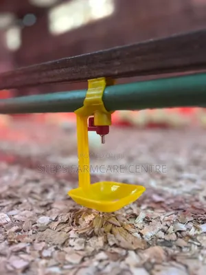 Efficient Automatic Chicken Waterers