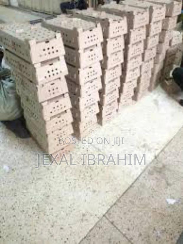 One Day Old Chicks Box - main view