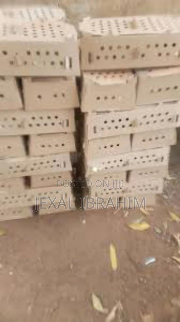 One Day Old Chicks Box - thumbnail 3