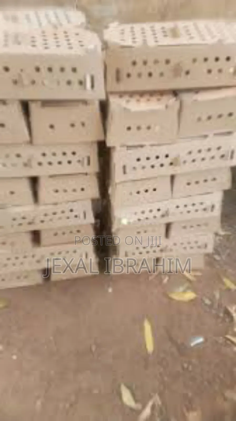 One Day Old Chicks Box