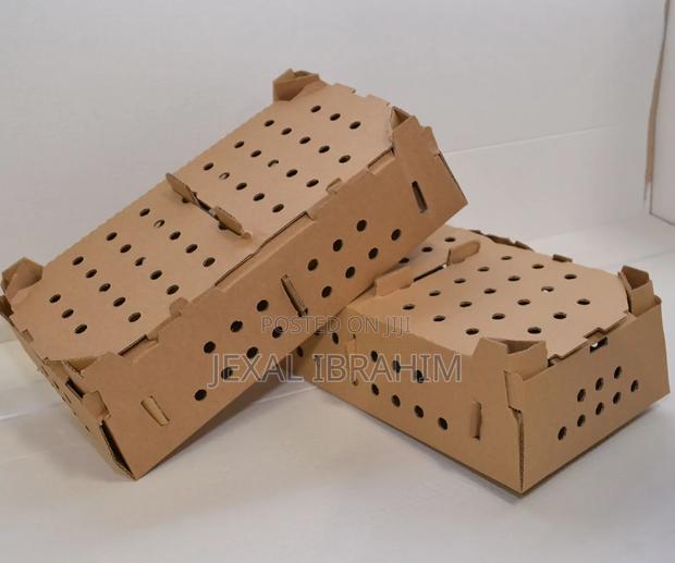 One Day Old Chicks Box - thumbnail 4