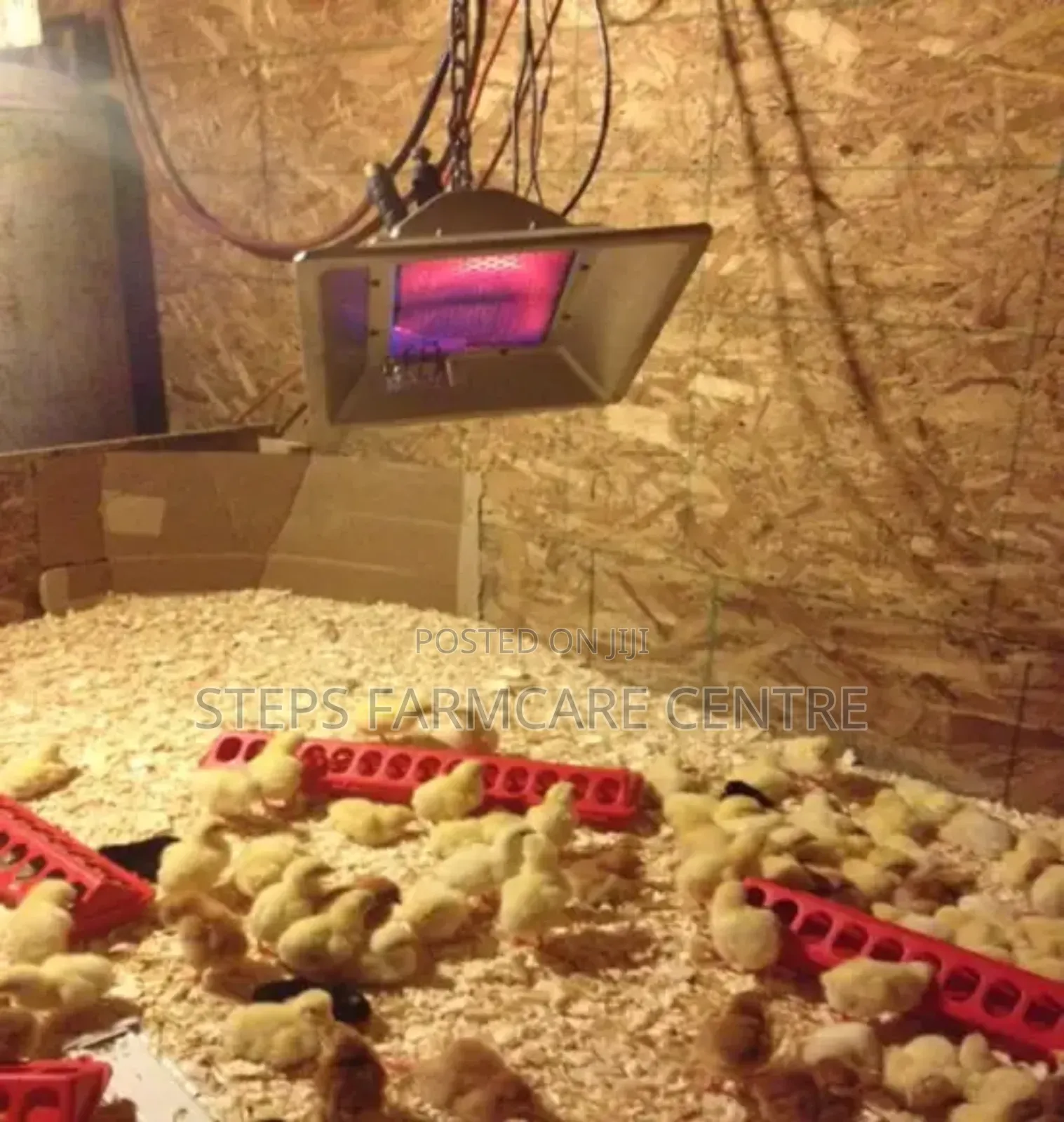 Environmentally Safe LPG Chick Warmers