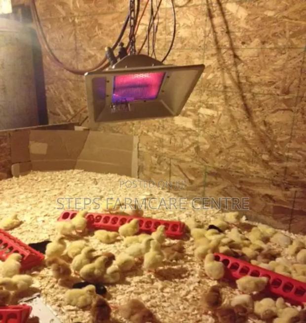 Environmentally Safe LPG Chick Warmers - main view