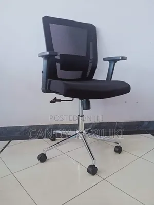 Executive Low Back Office Chair