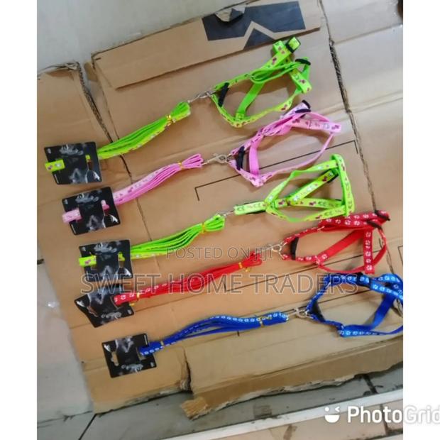 Dog Leash , Dog Leash - main view