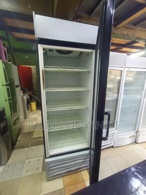 Display Fridge - main view