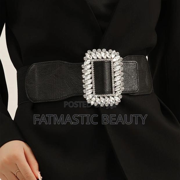 Waist Belt - main view