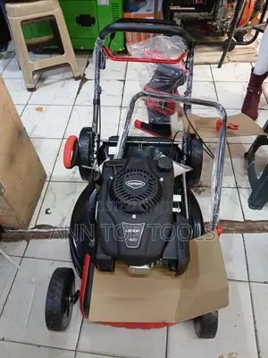 Locin Self Propelled 196 Cc Lawn Mower