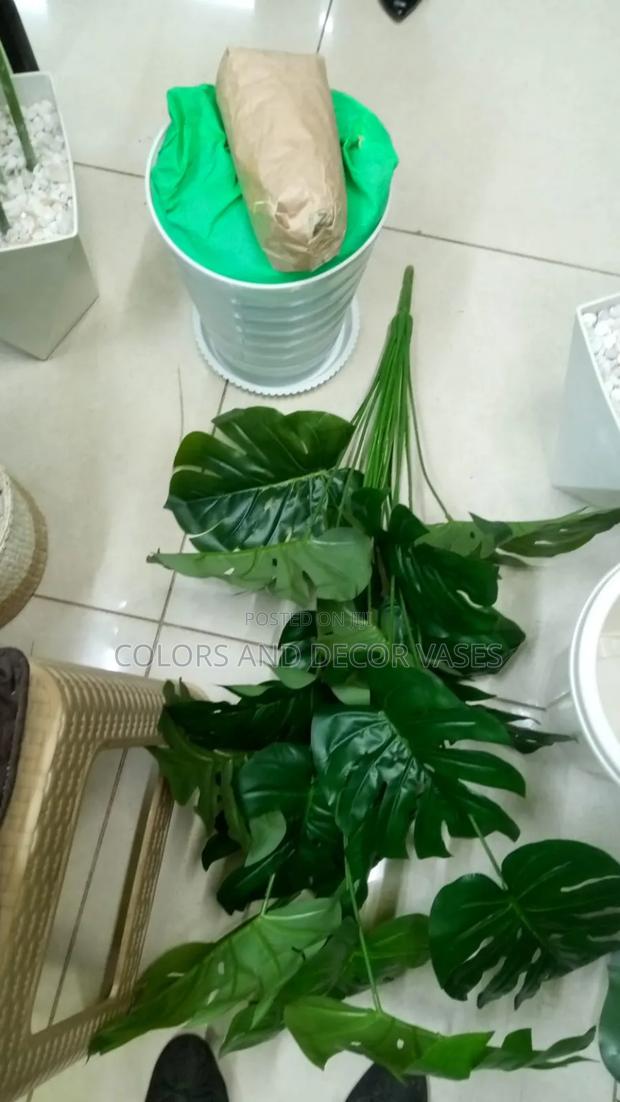 Long Monstera Plant With Vase Plus Decorative Stones
