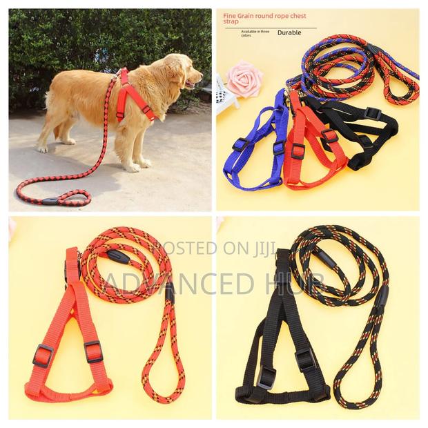 Dog Leash,Harness With Collar - thumbnail 3