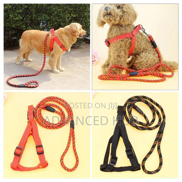 Dog Leash,Harness With Collar - main view
