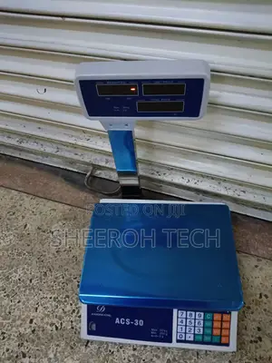 Digital Weighing Scale 30kg