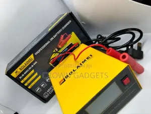 BLM 866 Bolaimei Battery Charger 3-200ah