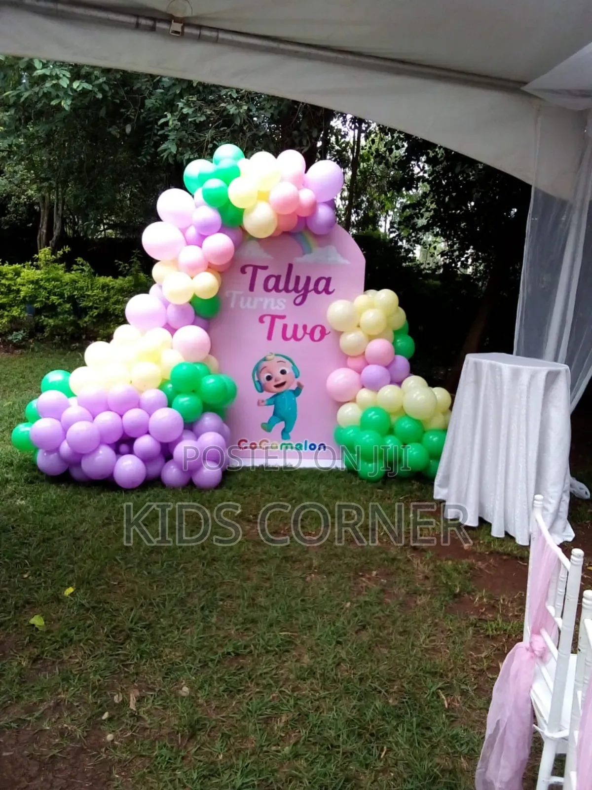 Birthday Decorations