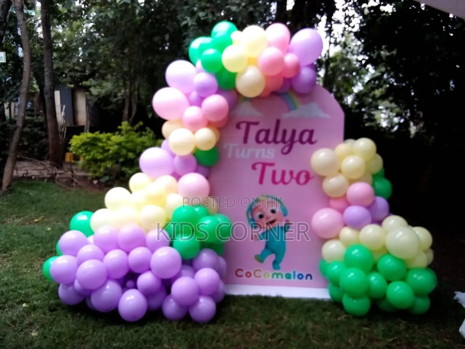 Birthday Decorations