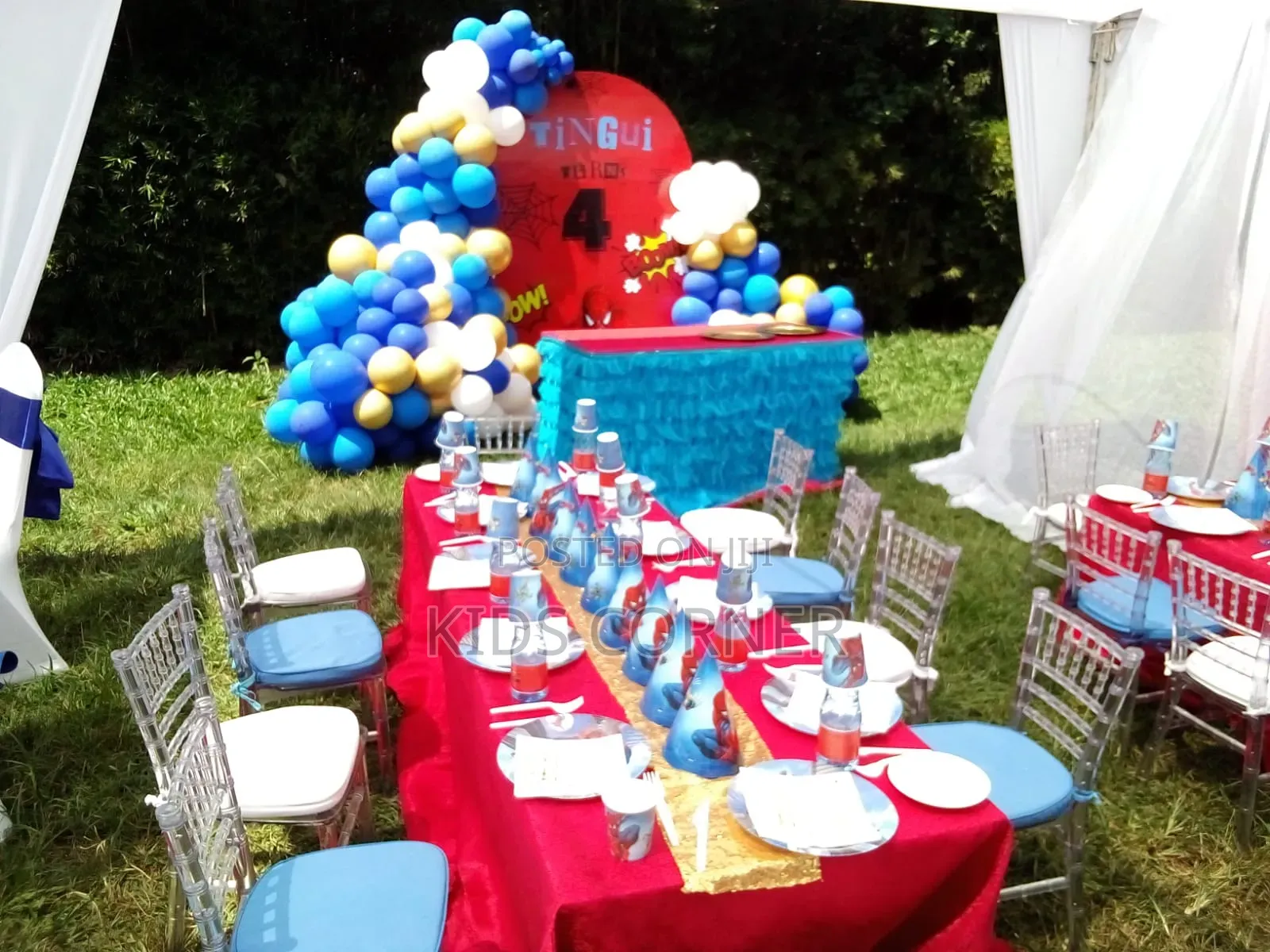 Birthday Decorations