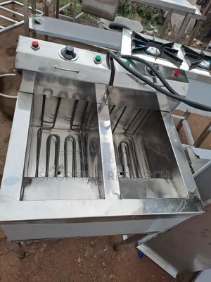 Electric Double Fryer Stainless Steel High Quality