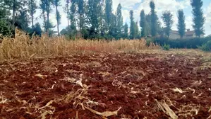 One Acre for Sale in Ngong