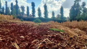 One Acre for Sale in Ngong