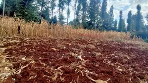 One Acre for Sale in Ngong