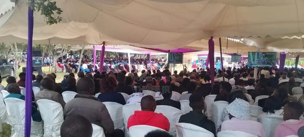 Tv Screens Set Up in Large Crowds - thumbnail 2