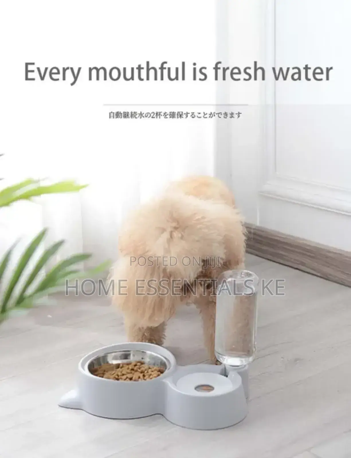 500mls Automatic Single Pet Bowl Plus Water Dispenser