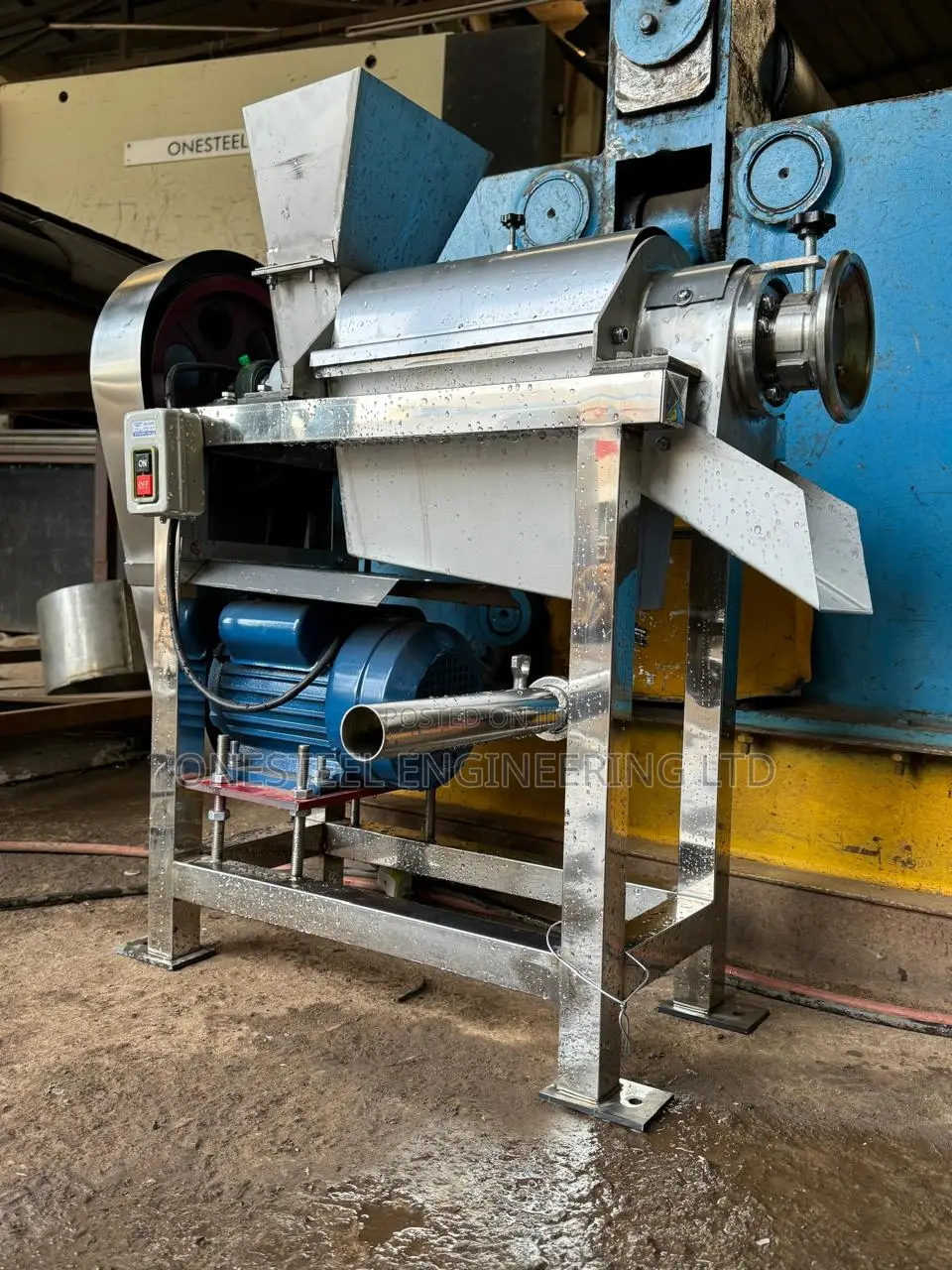 Fruit Pulping Machine