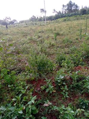 Land For Sale In Bondo - thumbnail 2