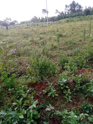 Land For Sale In Bondo