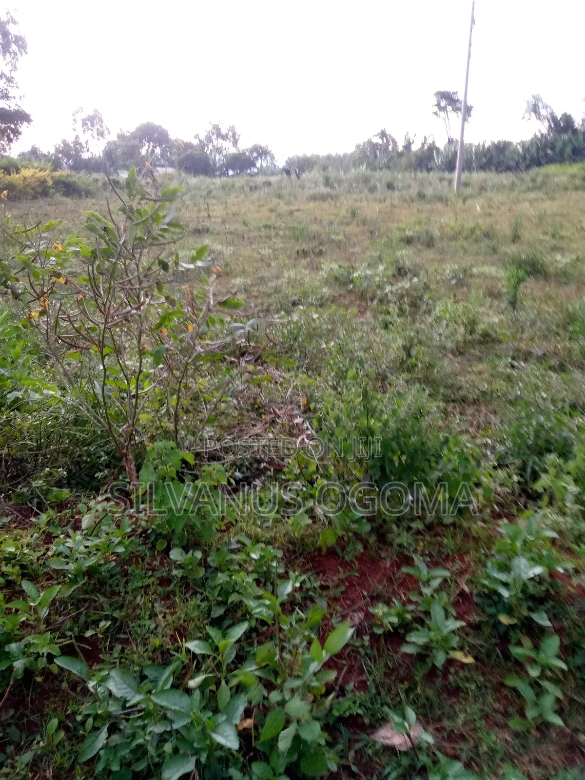 Land For Sale In Bondo