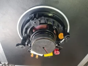 4 Inch 25 Watts Ceiling Speaker