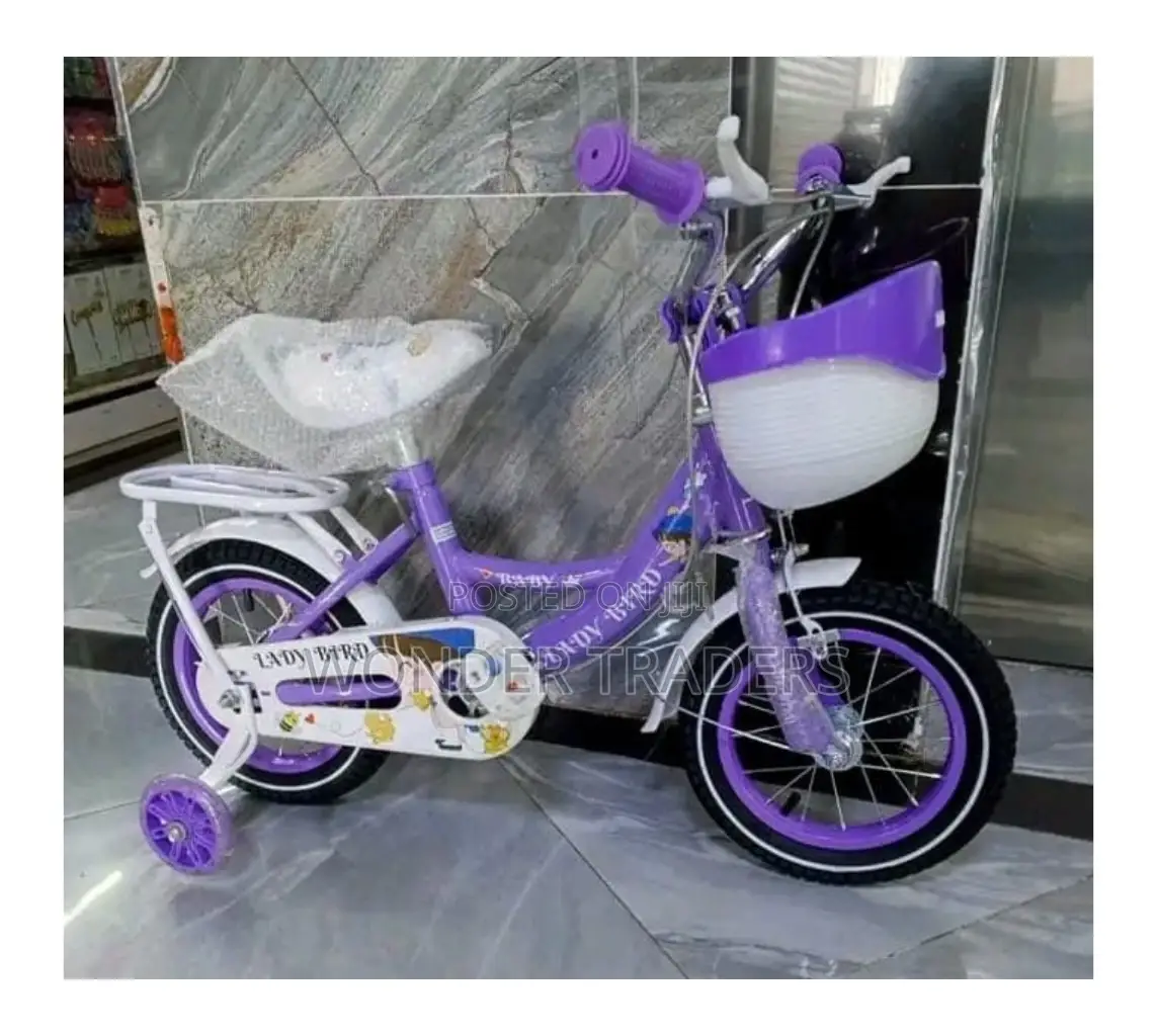 Girl Kids Bike Size 12 2-5 Year Old* Kids Bike