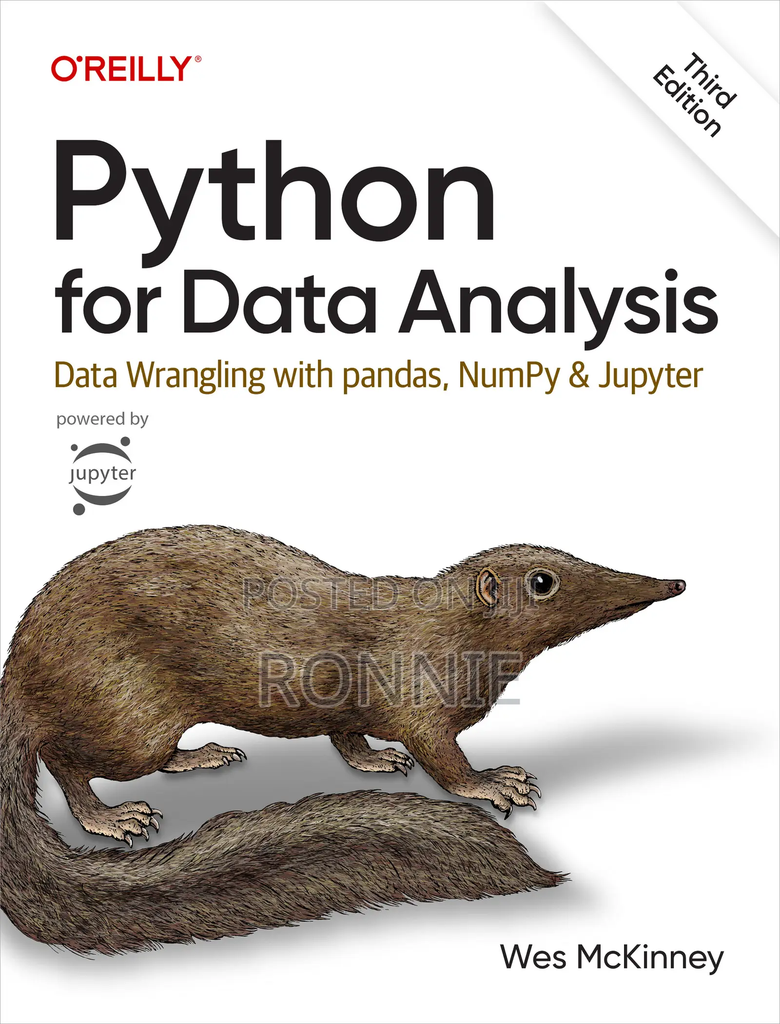 Python for Data Analysis Book by Wes McKinney