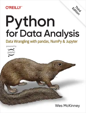 Python for Data Analysis Book by Wes McKinney