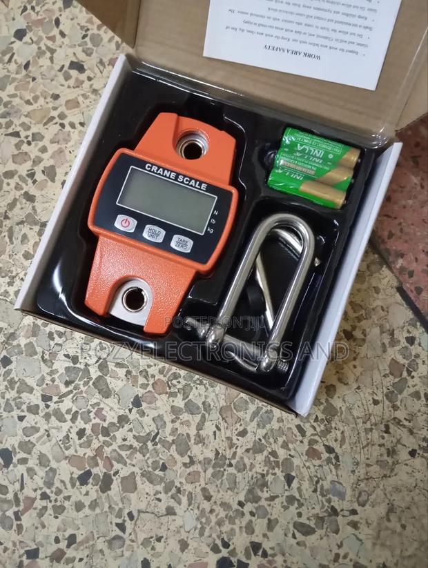 Crane Scale 300kg - main view