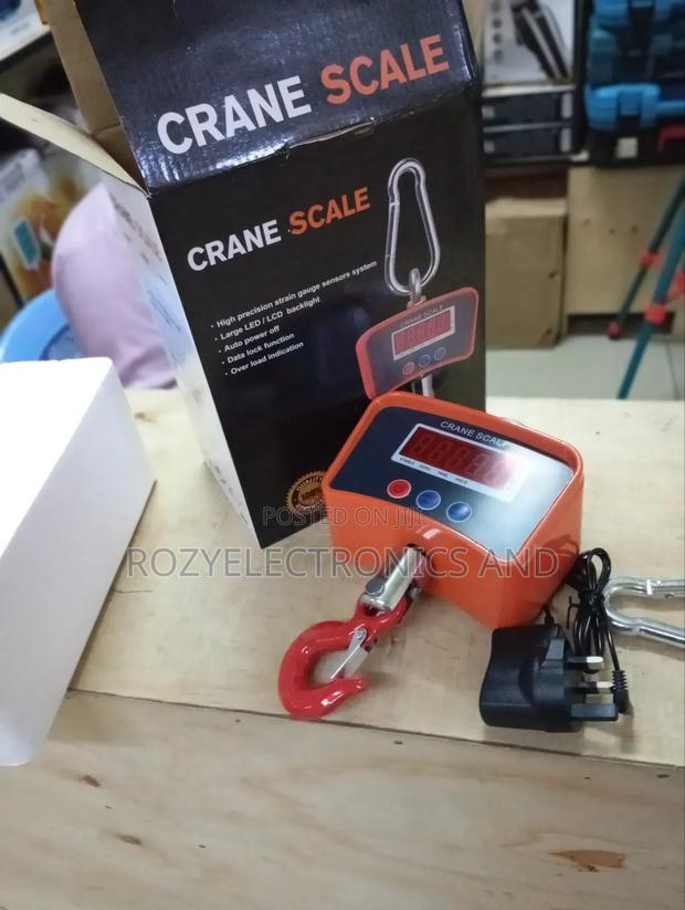 Crane Scale 300kg - main view