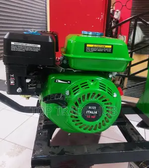 Heavy-Duty Local Silage Chopper With 10HP Engine