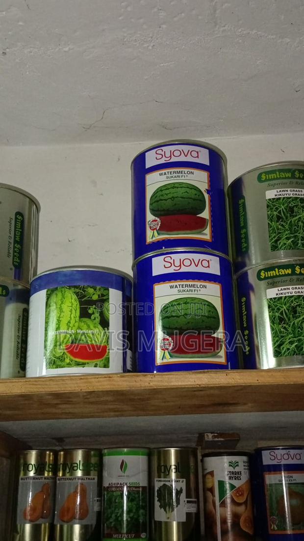 Sukari F1 Watermelon Seeds - 1kg - main view