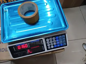 Digital 30kg Scales