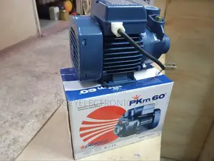 0.5 Water Pump Pedrol