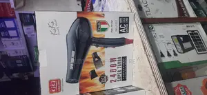 Professional Hair Dryer