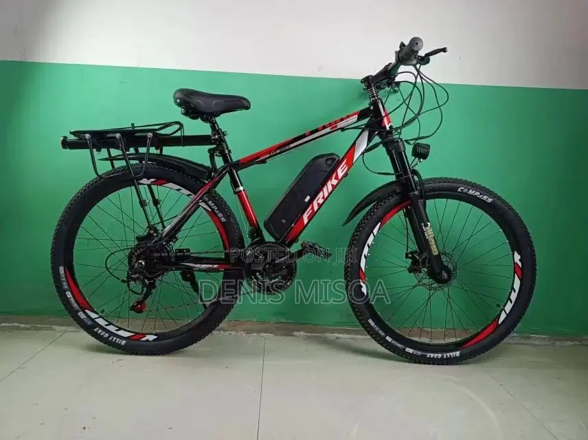 Offer Electric Mountain Bicycle