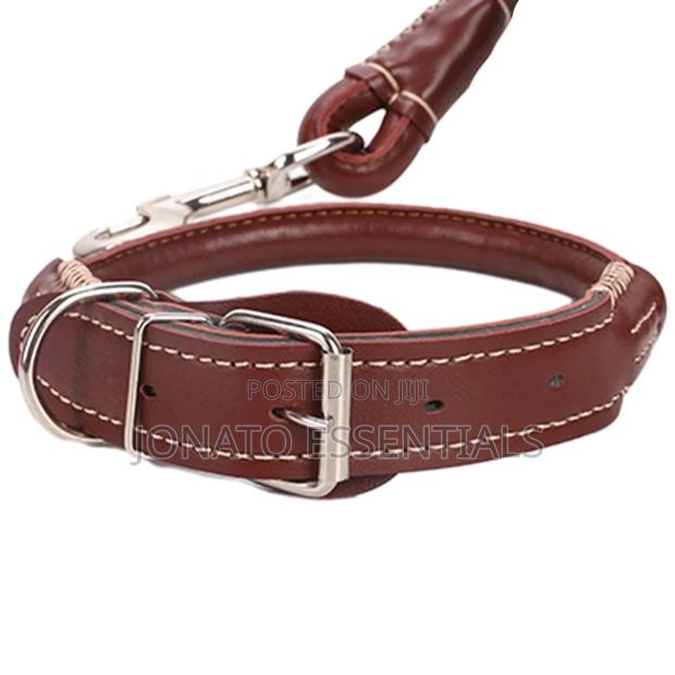Leather Dog Collar and Leash - thumbnail 3